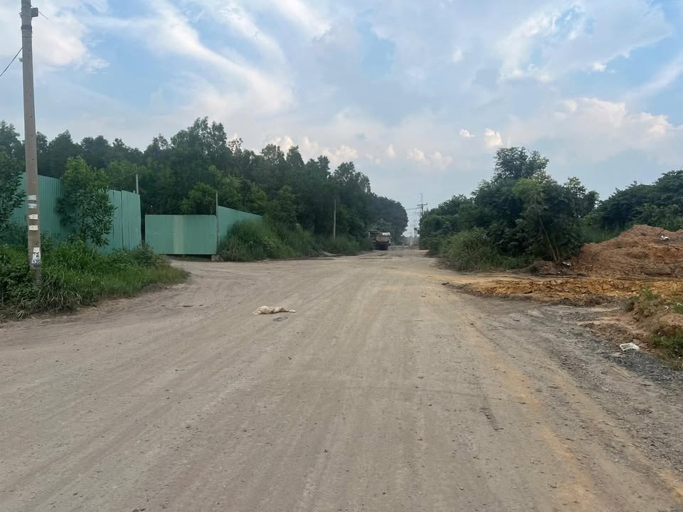 Đất nền Trảng Bom 115m² giá 690 triệu - Đất thổ cư 100% xây dựng tự do!