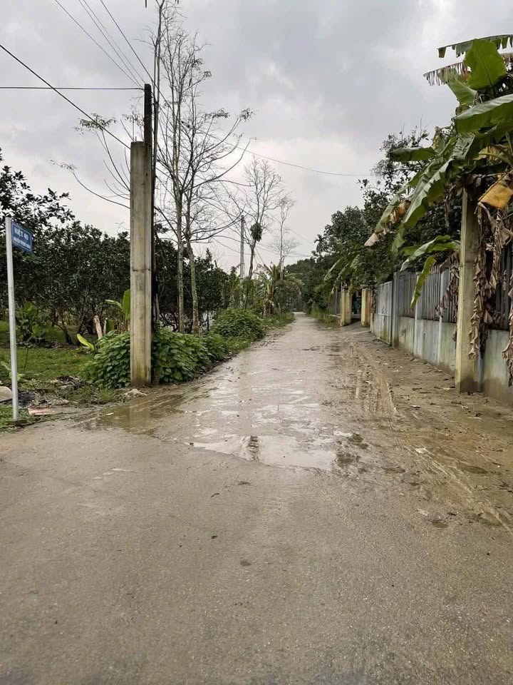 Đất Nền Phường Kim Long Huế 81.5m² Hướng Bắc - Sẵn Sàng Đầu Tư