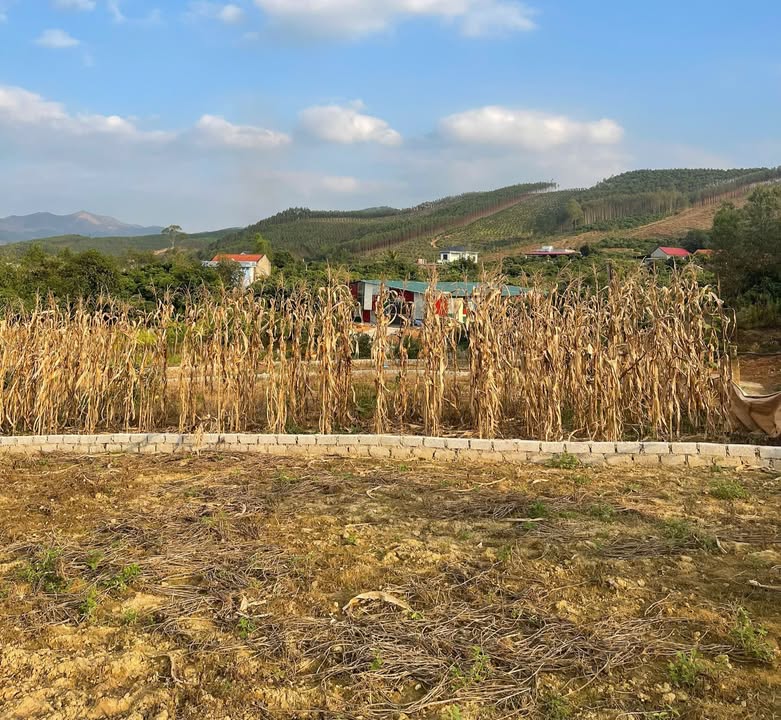 Đất Lục Nam, Bắc Giang 700m² - Sổ Hồng, Giá Đầu Tư 4xx Triệu