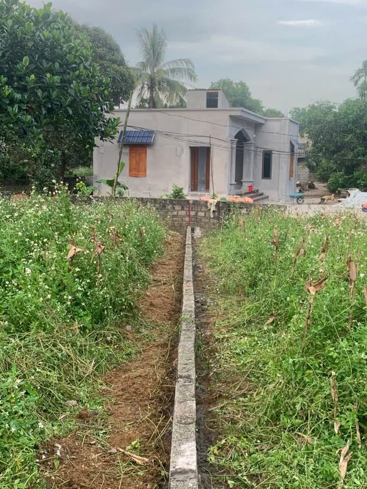 Đất nền Thanh Lương, Lương Sơn 245m² - Tiềm năng tăng giá vượt trội!