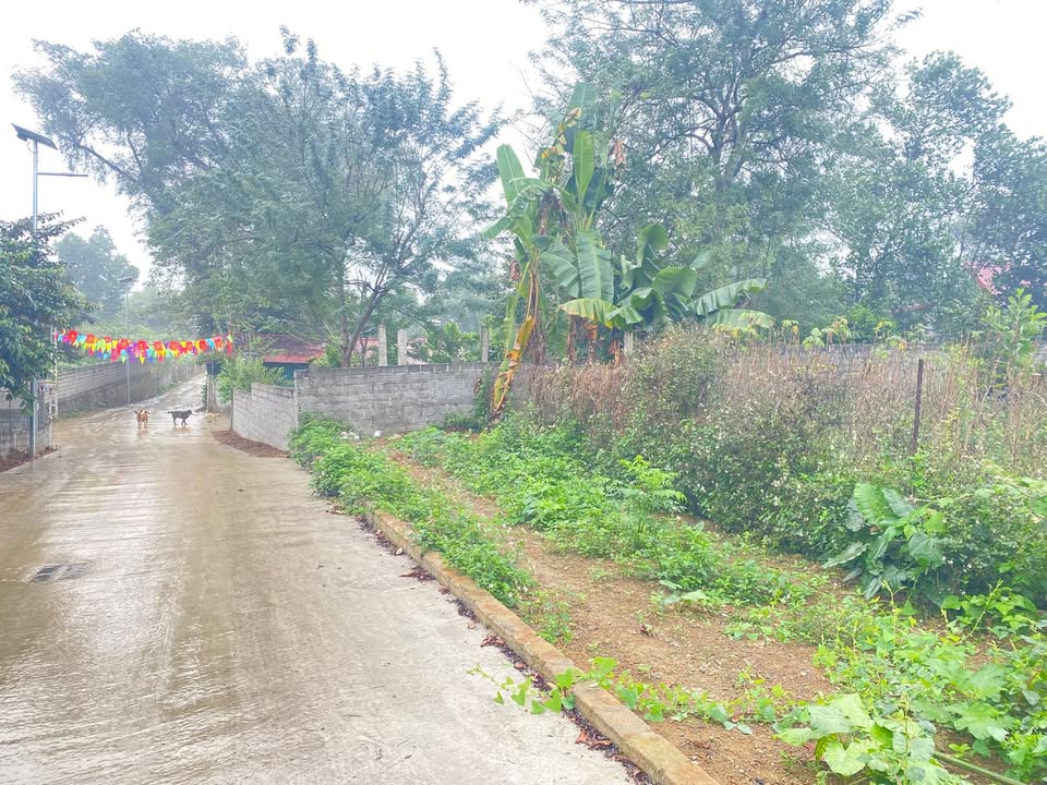 Đất Nền Nhuận Trạch, Lương Sơn 720m² - Sổ Đỏ Chính Chủ