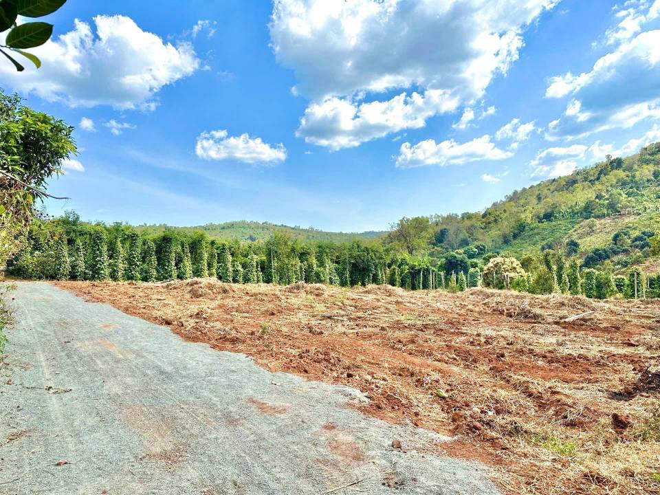 Đất Nền Sổ Hồng Sẵn 60m² Tại Buôn Hồ, Đắk Lắk - Giá 199 Triệu