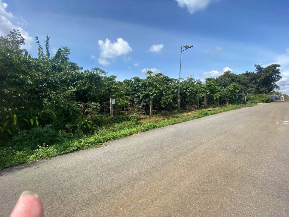 Đất Vàng Bảo Lộc 912m² - Mặt Tiền 24m Đường Nhựa Rộng 8m, Tách Thửa