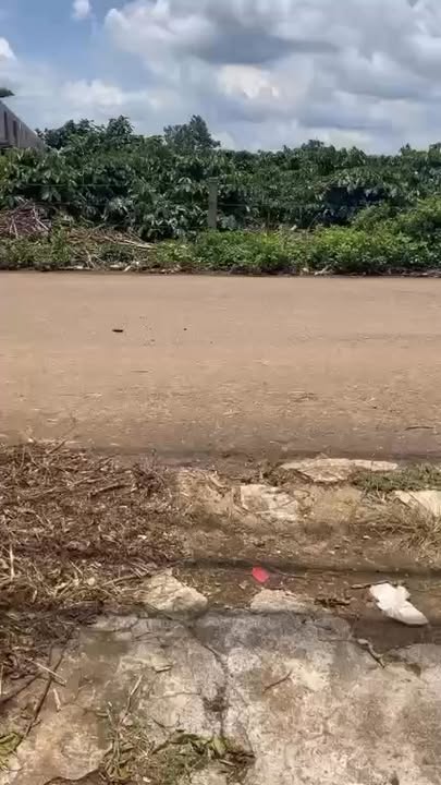 Nhà Nguyên Căn Quy Nhơn 1.5 Triệu/Tháng - Giá Tốt Hiếm Có!