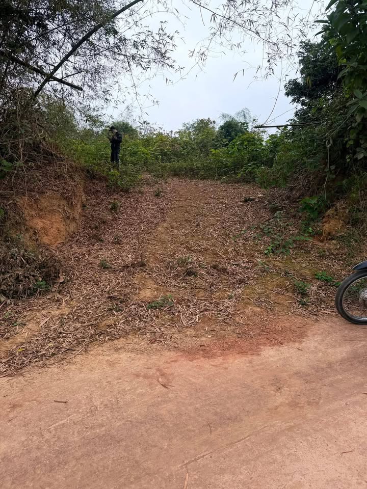 Đất nền Lương Sơn Sông Công 525m² - Đầu tư sinh lời, giá hơn 600 triệu