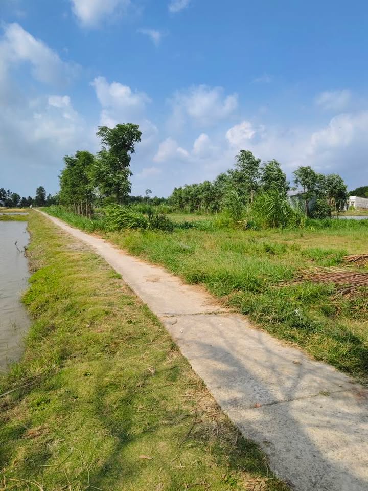 Bán Đất Vườn Sóc Trăng 17.500m² Mặt Tiền Lộ Bê Tông - Giá Đầu Tư 1.225 Tỷ