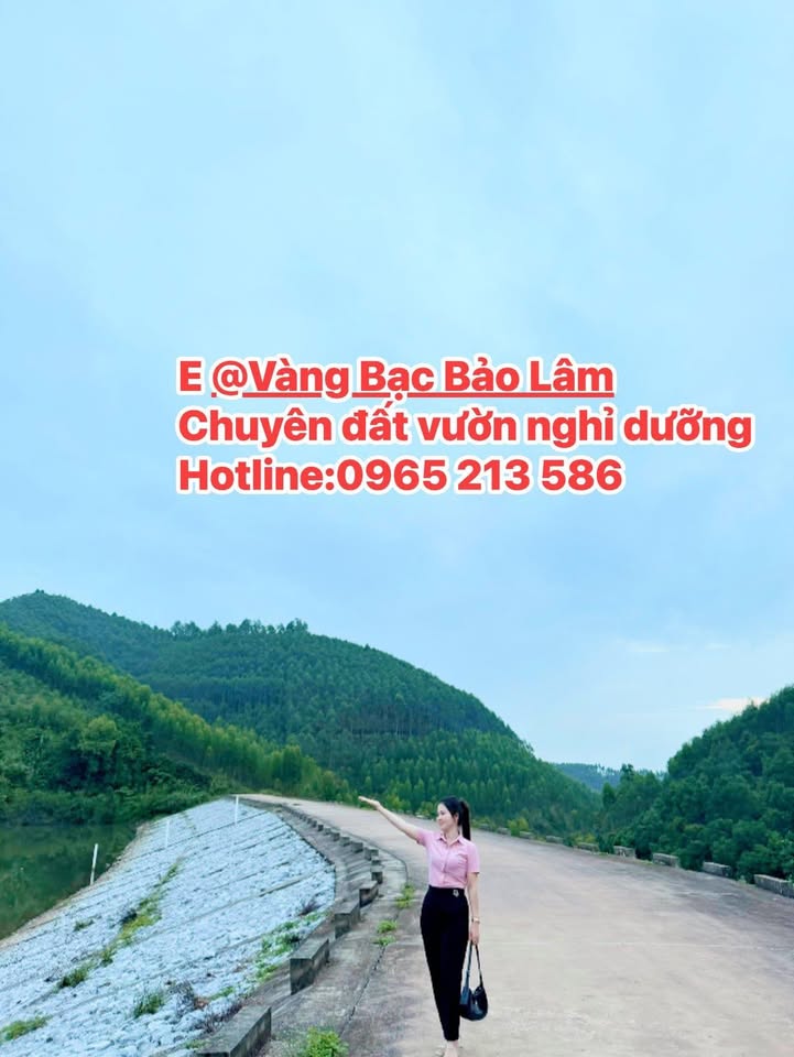 Đất vườn Bảo Sơn, Lục Nam gần 8000m² - Nghỉ dưỡng lý tưởng!