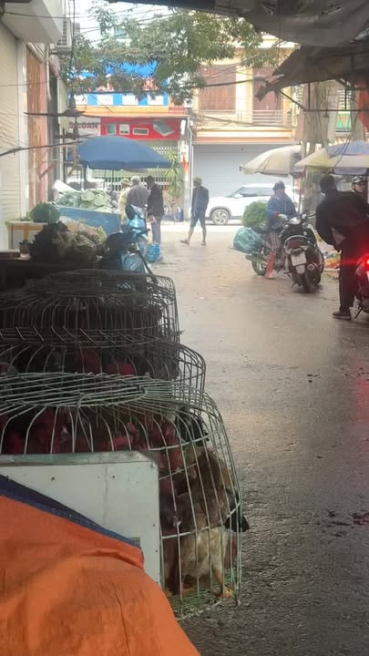 Đất Nền Mặt Tiền Lần 2 Chợ Nếnh, Việt Yên - 75m² Giá 2 Tỷ XXX