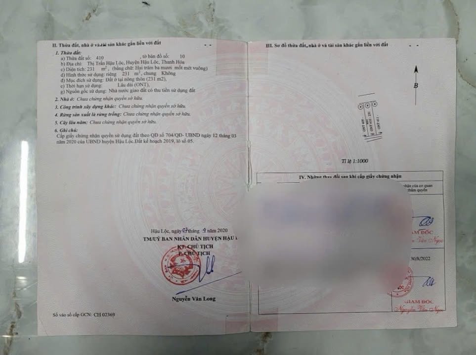 Đất nền Thị trấn Hậu Lộc 231m² - Tiềm năng tăng giá vượt trội