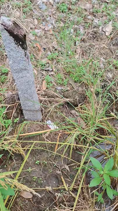 Đất nền Xã Vĩnh Phước B 10.000m² - Sổ đỏ chính chủ, tiềm năng sinh lời!