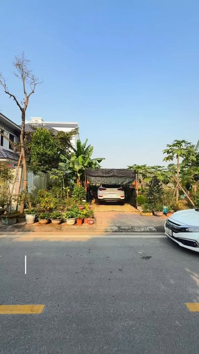 Đất nền KĐT Vũ Phúc Thái Bình 244m² 732 triệu - Sổ đỏ sẵn