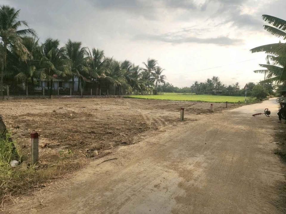 Đất nền Ninh Hòa 118m² - Sổ đỏ chính chủ, tiềm năng tăng giá!