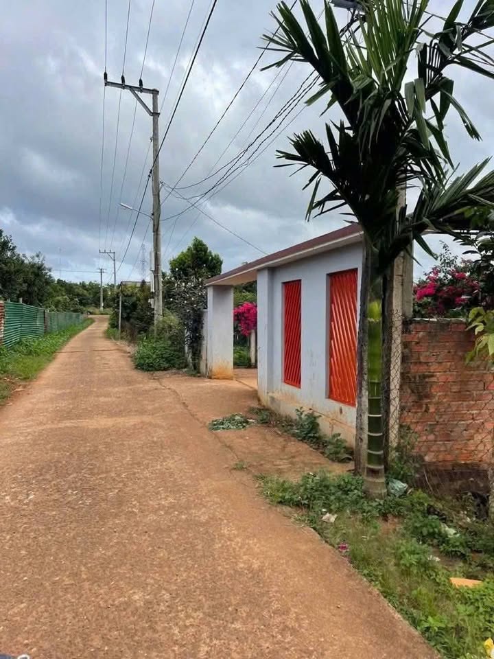 Đất Nền Xã Tân Lập Krông Búk 200m² - Giá 650 Triệu, Sổ Đỏ TC60