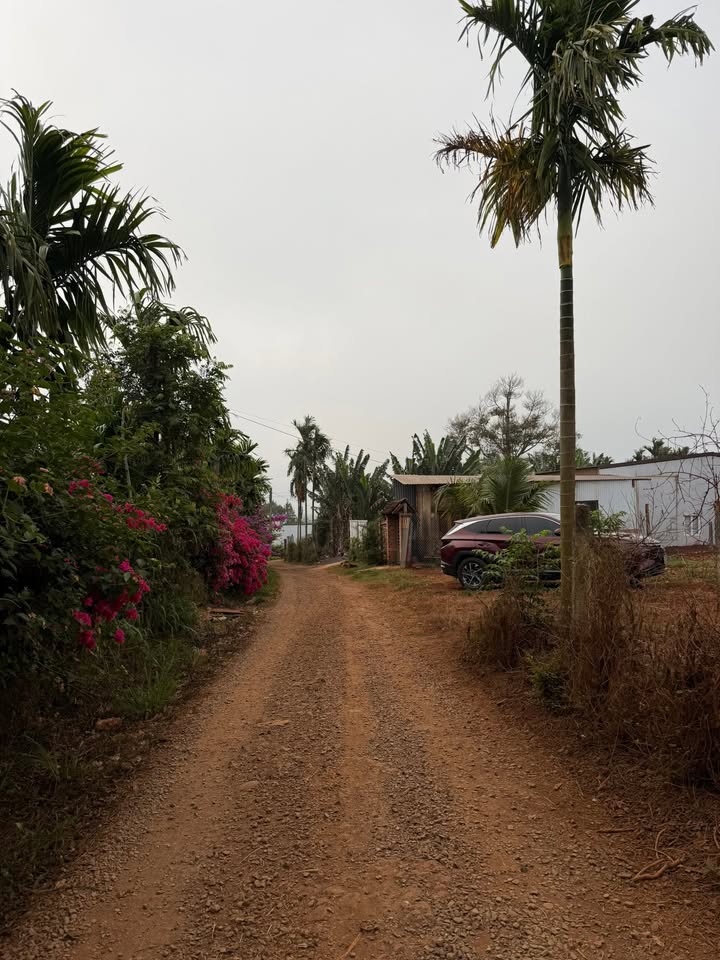 Đất nền Phường Đoàn Kết, Buôn Hồ 180m² - Sổ đỏ chính chủ!