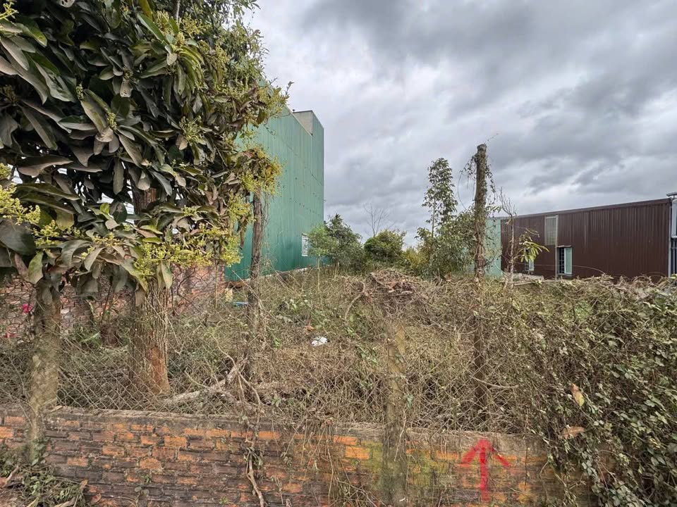 Đất nền Thôn 10 Pangdrang Buôn Hồ 240m² - Đất thổ cư 100%!