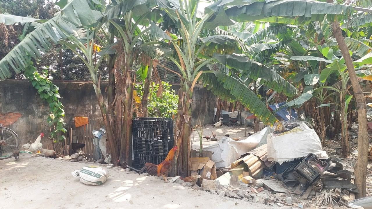 Đất nền An Phú, Thuận An 118m² - Pháp lý rõ ràng, đường ô tô