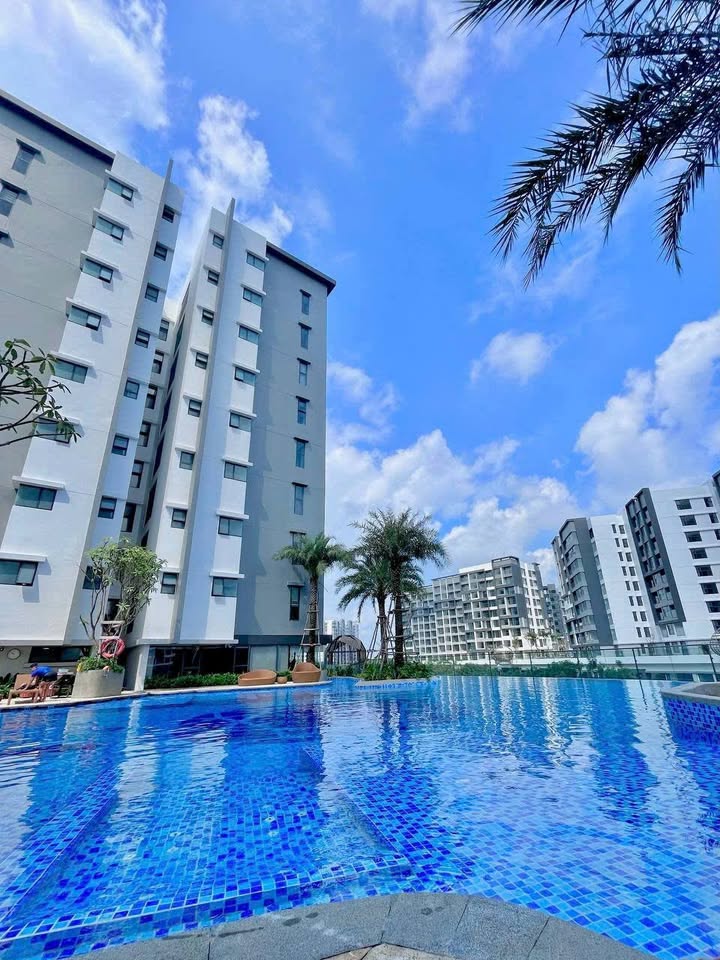 Căn hộ Diamond Alnata 117m² Tân Phú - Căn góc, bàn giao ngay!