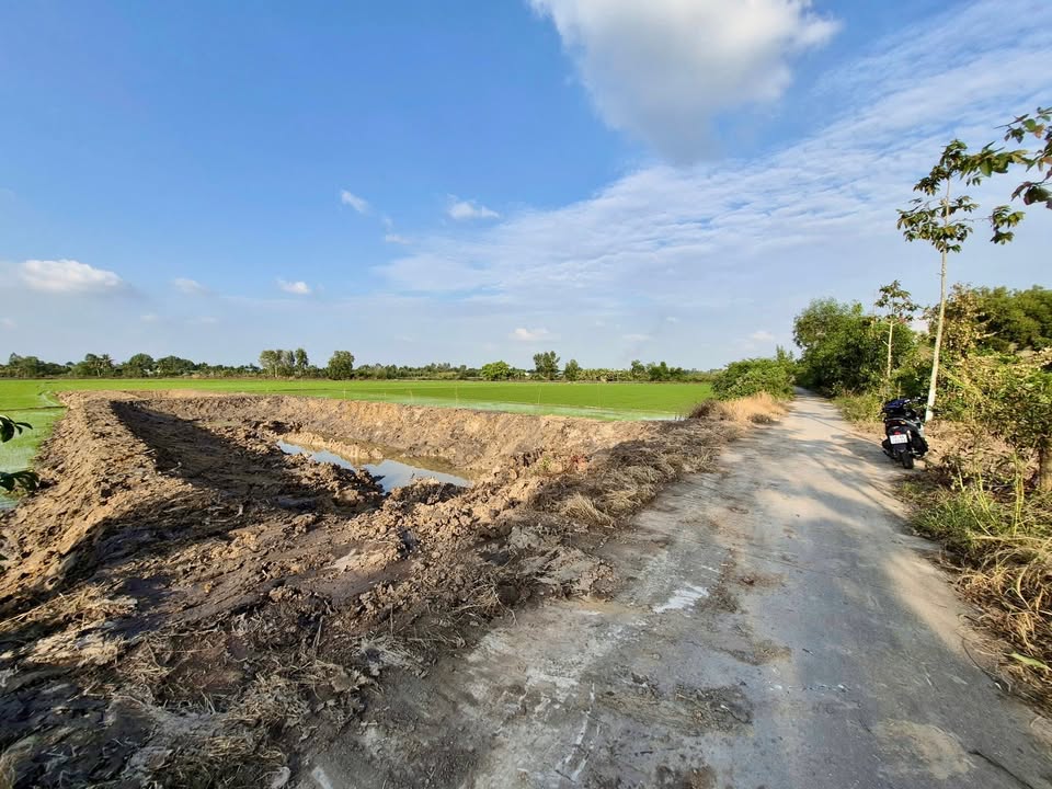 Bán Đất Vườn Rạch Giá 1000m² - Sổ Đỏ, Ô Tô Tới Đất