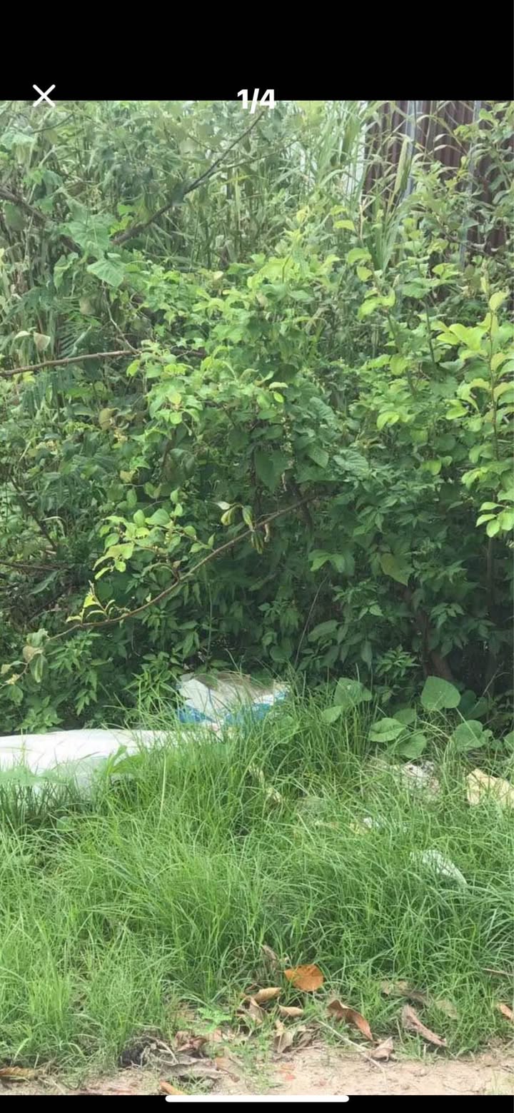 Đất nền mặt tiền Trần Mai Ninh, Rạch Giá - 500m², 2 mặt tiền, thổ cư