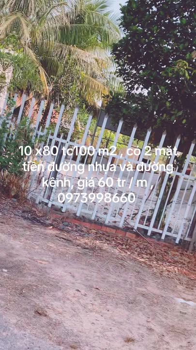 Đất nền Thành Phố Tây Ninh 800m² - Đất thổ cư 100%, 2 mặt tiền!