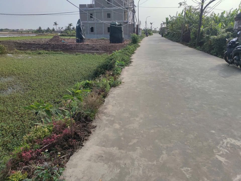 Bán Đất Xã Hải Quang Nam Định 135m² - Sổ Hồng Sẵn Sàng, Giá Tốt