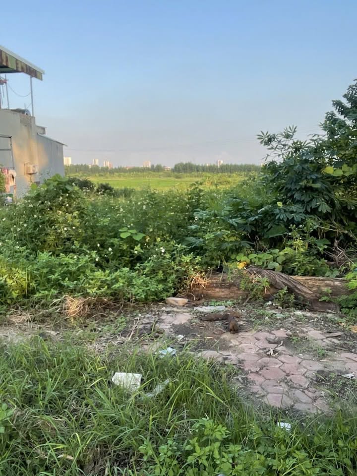 Đất nền Thành phố Bắc Ninh 71m² - Mặt tiền kinh doanh sầm uất!