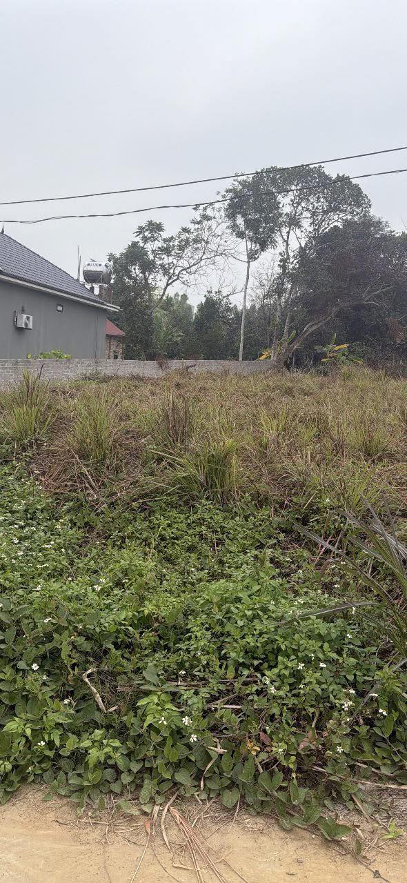 Đất nền Tân Hiệp, Yên Thế 210m² giá từ 4 tỷ - Sổ đỏ chính chủ