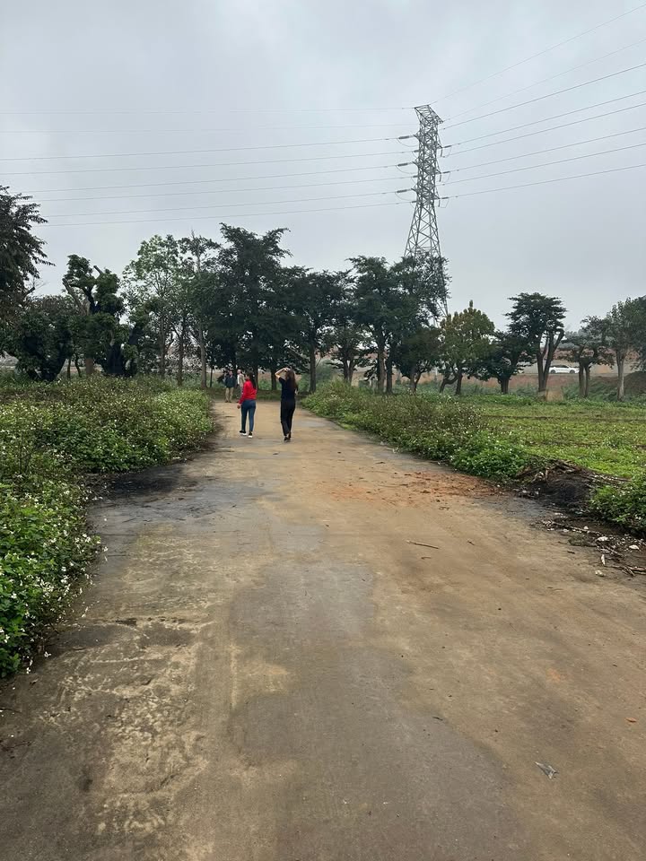 Đất nền Hà Lộc, Phú Thọ 144m² giá 2 tỷ - Sổ đỏ chính chủ!