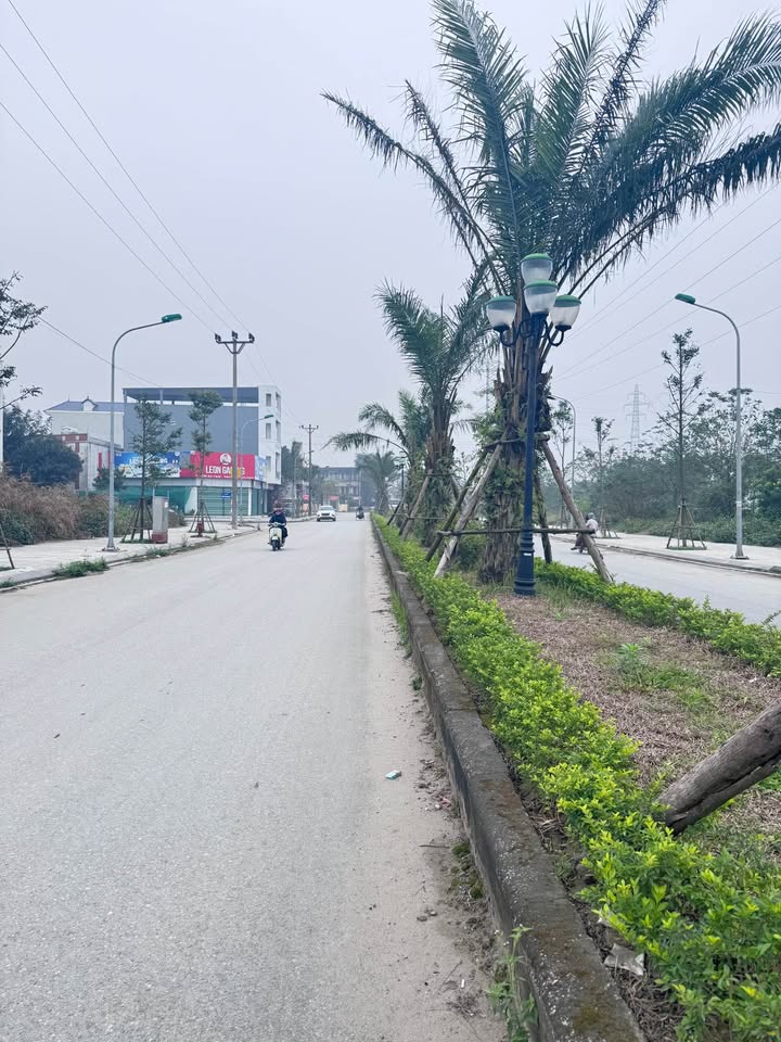 Đất nền Mỹ Trung Nam Định 75m² 4.35 tỷ - Đường to ô tô