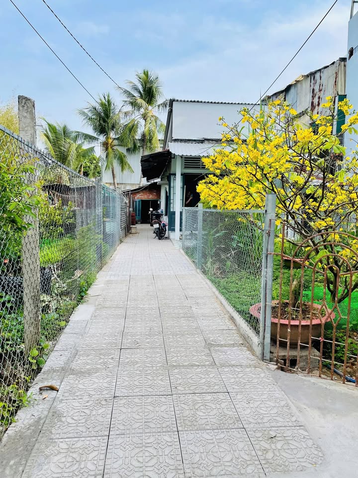 Nhà Hẻm Thái Thị Hạnh Cần Thơ 80m² - Ô tô vào tận nhà, giá tốt!