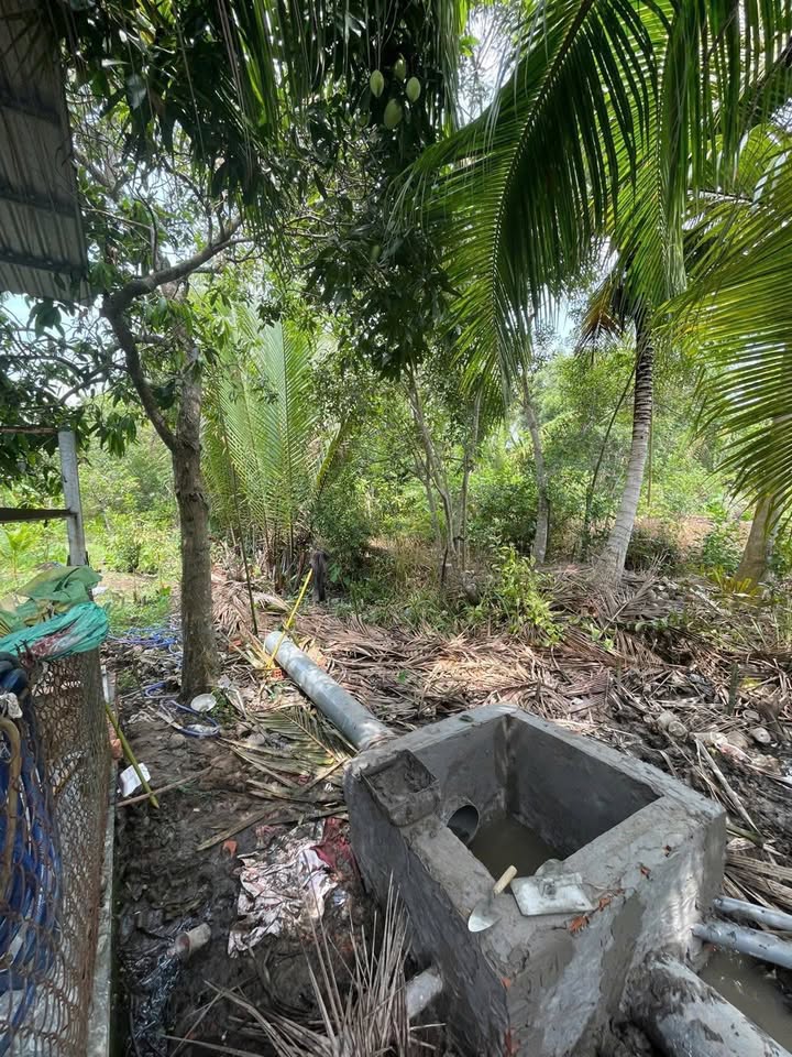 Bán Đất Rạch Ngã Bát, Cần Thơ - 950m² Giá 3.6 Tỷ, Sẵn Sổ CLN