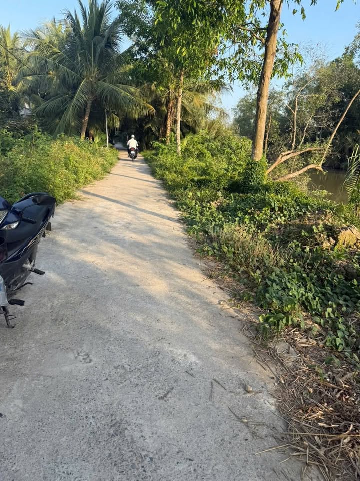 Bán Đất Full Thổ Cư Long Hồ, Vĩnh Long - Sổ Đỏ, Mặt Lộ Ô Tô