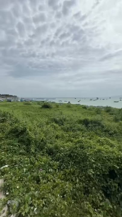 Đất Nền Mặt Biển Hòn Đỏ Nha Trang 305m² - Đầu Tư Sinh Lời Đón Lộc