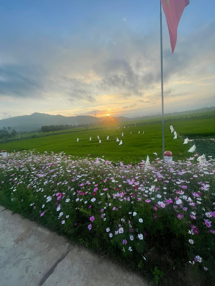 Đất Vàng 40m² Ngay Ngã Tư Hàng Xanh, Thủ Đức - Cơ Hội Vàng Đầu Tư