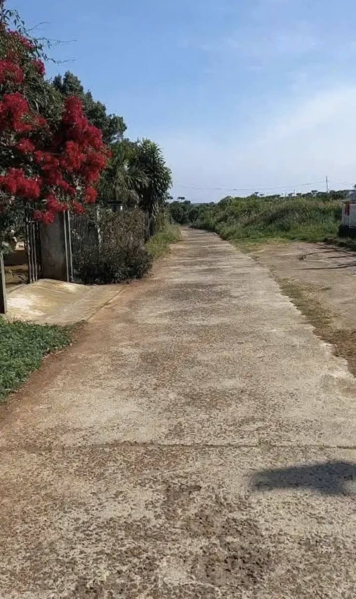 Đất nền Lộc Quảng 1500m² giá 1.3 tỷ - Sổ đỏ chính chủ