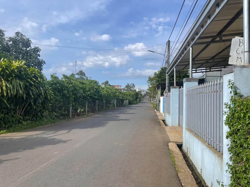 Đất nền Trần Phú, Bảo Lộc 222m² 2.6 tỷ - Sổ đỏ chính chủ!