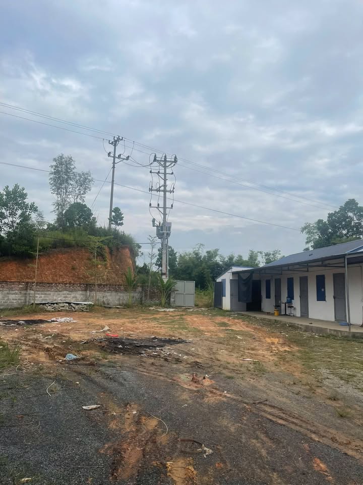 Kho xưởng Tân Cương 4.000m² - Mới xây, hoạt động ngay!