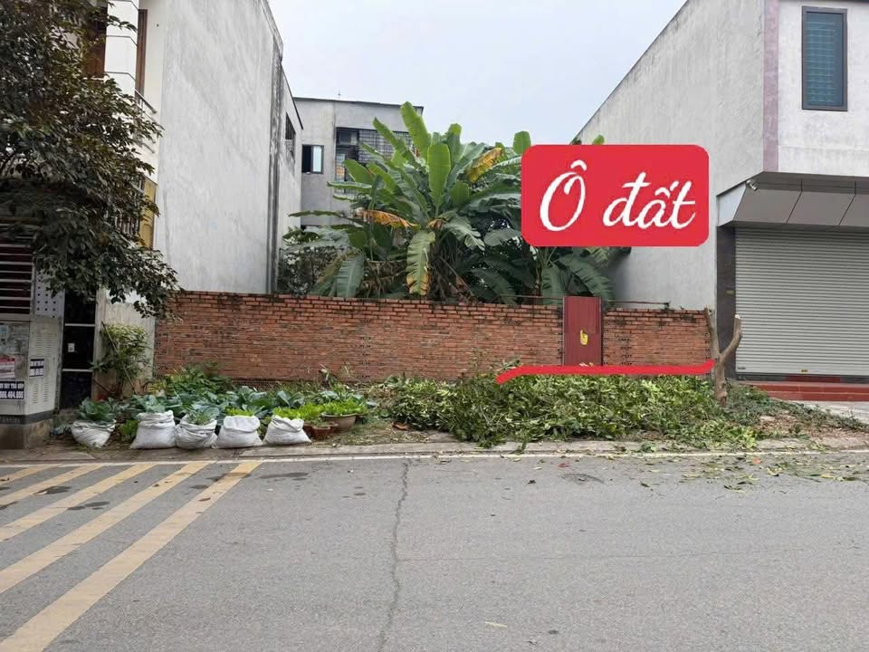 Đất nền Đồng Lẻ Việt Trì 85m² giá 5 tỷ - Vị trí kinh doanh đắc địa!