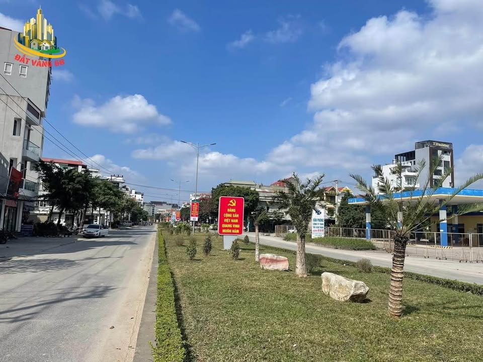 Đất nền Ngõ 88 Lê Thái Tổ Ninh Bình 95m² - Tiềm năng tăng giá cao!