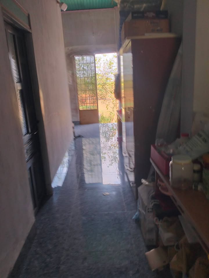 Nhà cấp 4 Thôn Suối Tre, Phú Mỹ - 1200m² Sẵn Sàng Ở Ngay