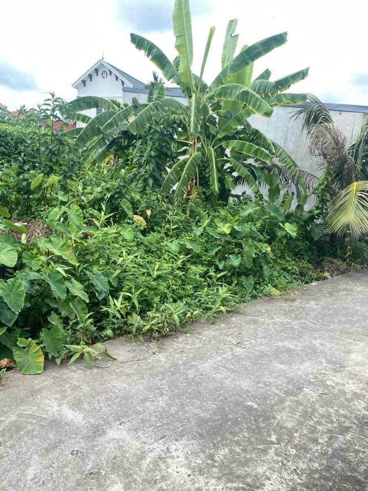 Đất nền Nhân Thắng Gia Bình 101m² giá 1.3 tỷ - Sổ đỏ chính chủ