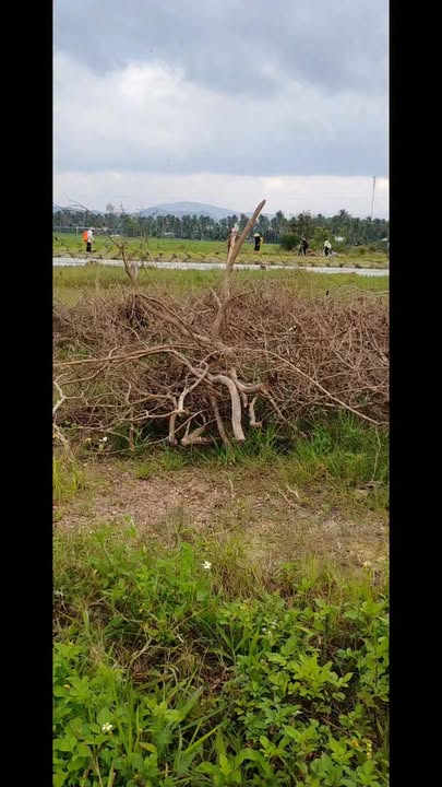 Đất nền Bồng Sơn, Hoài Nhơn 141m² - Sổ đỏ chính chủ