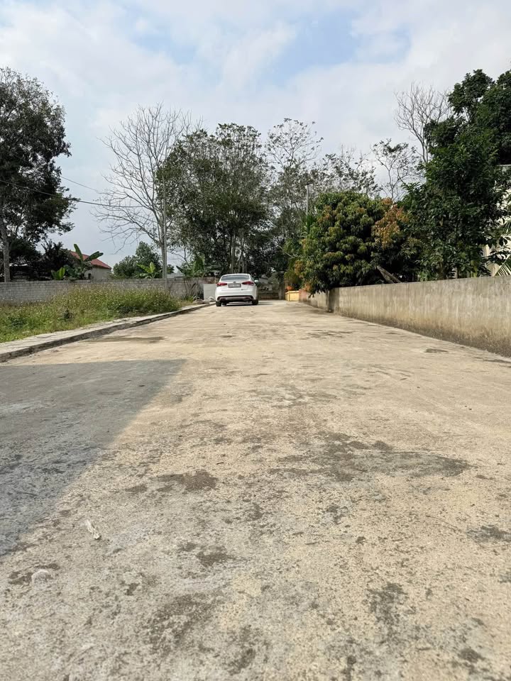 Đất nền Thái Hòa, Triệu Sơn 130m² - Tiềm năng tăng giá vượt trội!