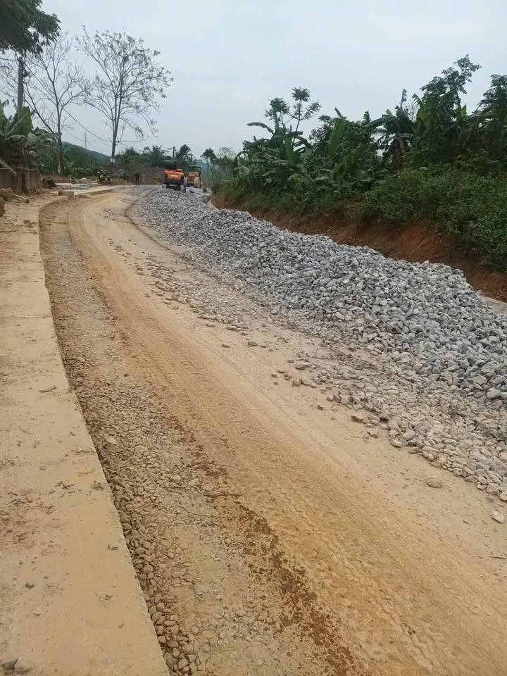 Đất nền Mỹ Sơn, Đô Lương 479m² giá 1.5 tỷ - Sổ đỏ chính chủ