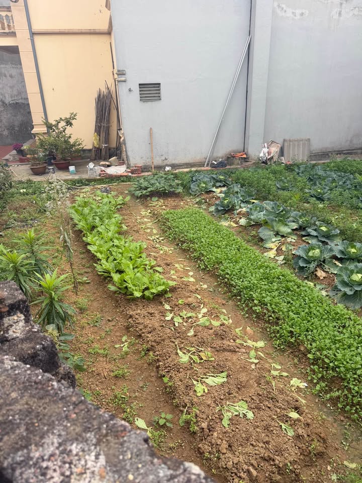 Đất Nền 57m² Full Thổ Cư, Giá Dưới 2 Tỷ - Ngay Tiểu Học Minh Nông, Việt Trì