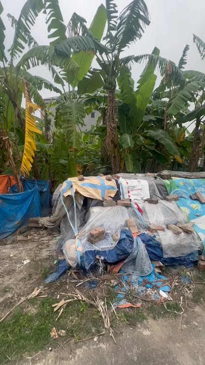 Bán Đất Vĩnh Phúc 103m² - View Sông Thoáng Mát, Giá 9xx Triệu