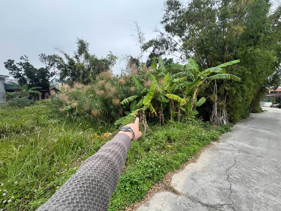 Đất Nền Gia Lộc, Hải Dương - 89.3m² - Hướng Tây Nam - Chỉ 1.2 tỷ