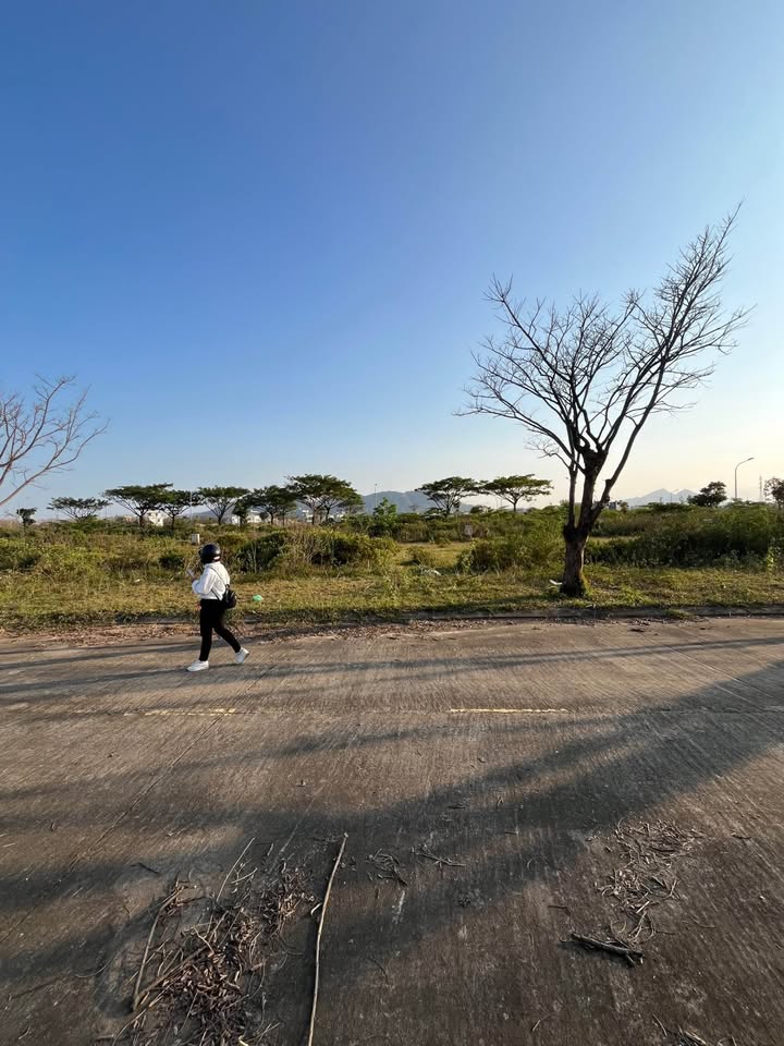 Đất Nền Golden Hills Đà Nẵng 125m² - Sổ Đỏ Chính Chủ, Giá Tốt