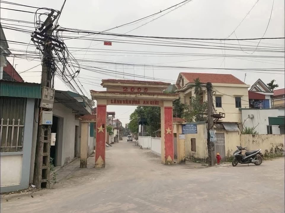 Đất nền Thôn An Giới Thái Tân 115m² - Tiềm năng tăng giá vượt trội!