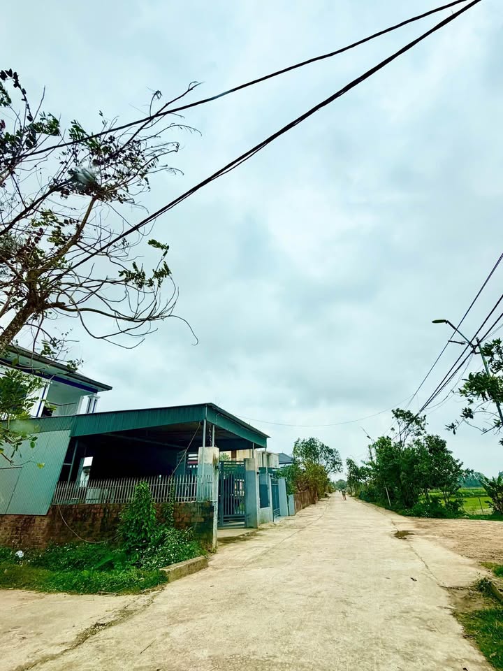 Đất nền Cẩm Vịnh, Hà Tĩnh - 300m², Sổ đỏ sẵn, Giá 500 triệu